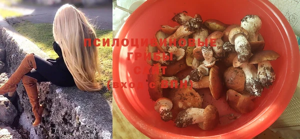 тгк Балахна