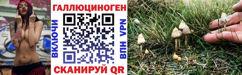 Псилоцибиновые грибы Cubensis  Бронницы 